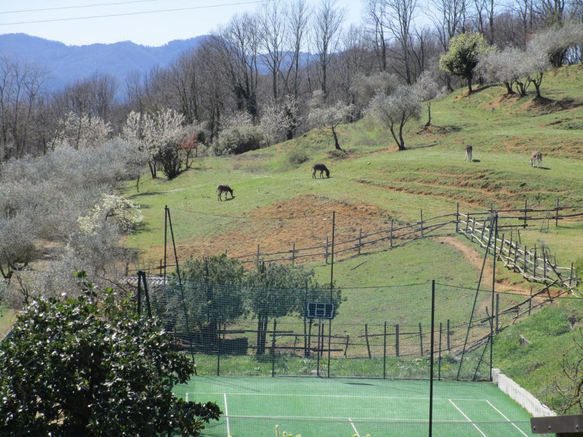 Podere La Piana Fivizzano Exterior foto